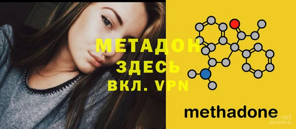 дмт Болотное
