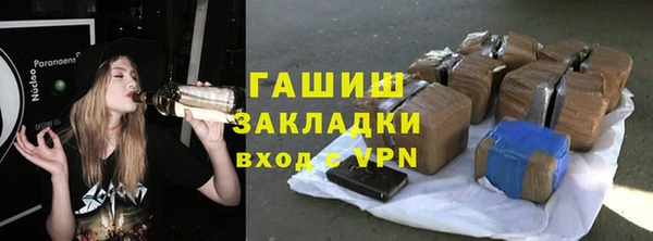 молекула духа Няндома