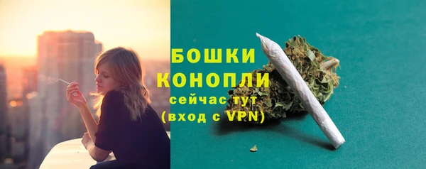 твердый Бутурлиновка