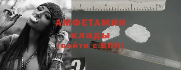 молекула духа Няндома
