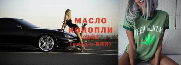 молекула духа Няндома