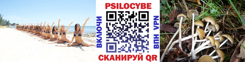 KRAKEN ТОР  Ейск  Псилоцибиновые грибы ЛСД 