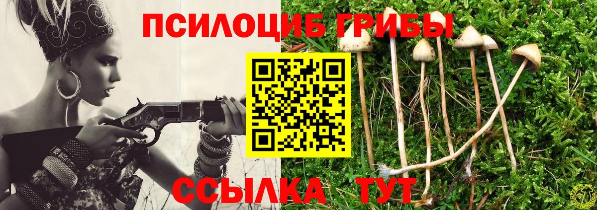 купить наркоту  Вход с VPN  Ейск  Галлюциногенные грибы Psilocybe 